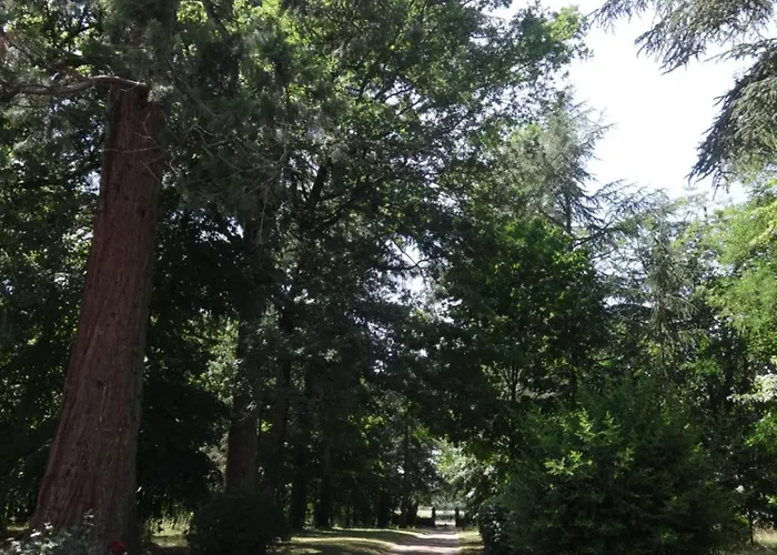 Chateau Saint Georges 3*